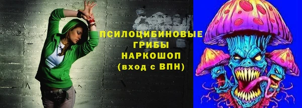 твердый Лиски