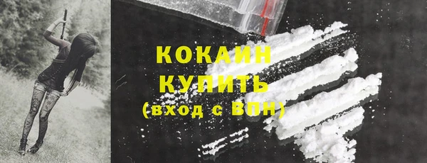 твердый Лиски