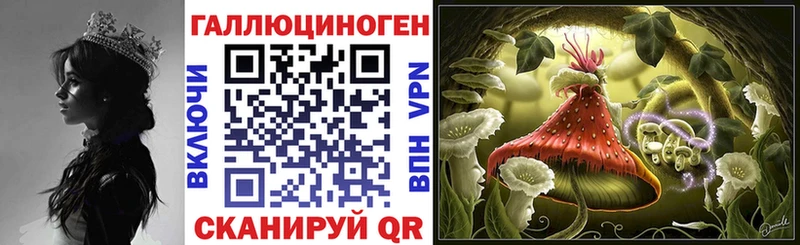 Купить закладки  Нижний Тагил  Галлюциногенные грибы мицелий 